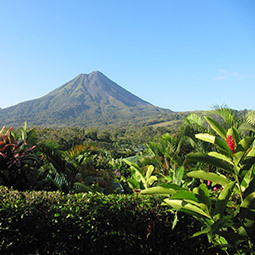 mountain top