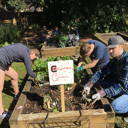 several students leaning over a garden bed