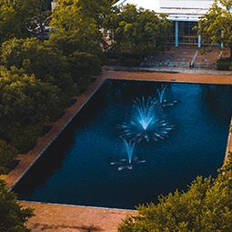 Thomas Cooper Reflecting pool from an areal view surrounded by green trees. 