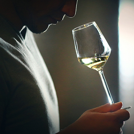 Person sniffing wine in a glass