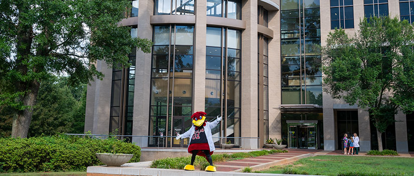 Cocky in Front of SOMG building