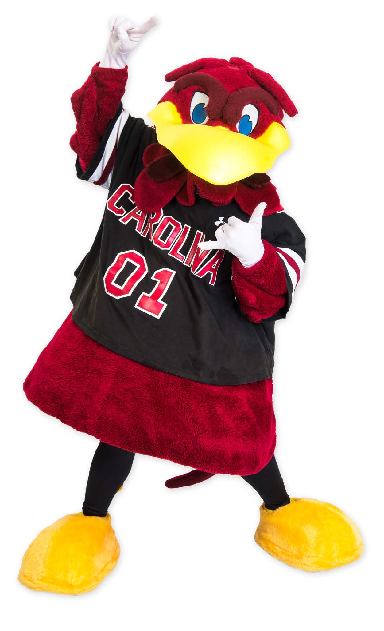 image of cocky